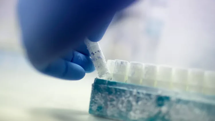 European Fertility Scandal: One Donor, 67 Children, and a System Under Fire