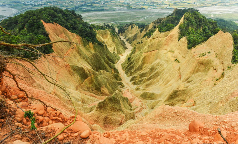 China’s Agricultural Breakthroughs Could Reshape the Global Food Chain