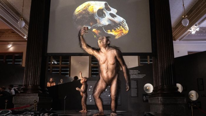 Lucy, Humanity’s Ancient Ancestor, Goes on Display in Europe for the First Time